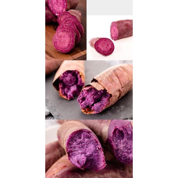 冰激凌紫薯 5斤礼箱装