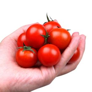 原味番茄（红圆） 约400g