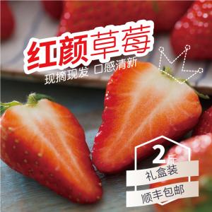 红颜草莓礼盒装 约2斤（预售，陆续发出）