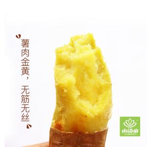 红薯“黄金香薯”5斤礼箱装